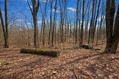 134 Nash Hill Rd, Williamsburg, MA 01096 - Photo 1