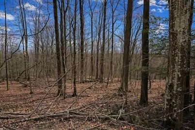 134 Nash Hill Rd, Williamsburg, MA 01096 - Photo 2