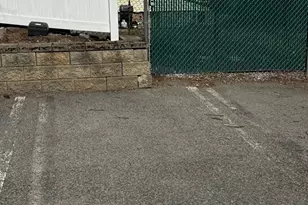 61 Colborne Rd, Boston, MA 02135 - Photo 12