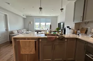 50 Hichborn St, Boston, MA 02135 - Photo 16