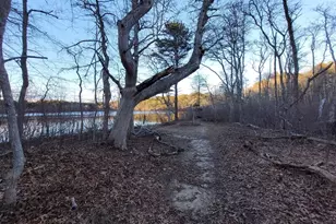 14 S Yarmouth Rd, Dennis, MA 02638 - Photo 40