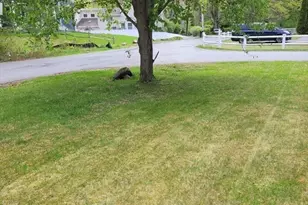 26 4th Ave, Billerica, MA 01821 - Photo 34