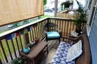 103 Welles Ave, Boston, MA 02124 - Photo 12