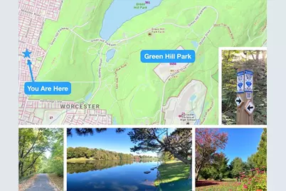 95 Green Hill, Worcester, MA 01605 - Photo 40