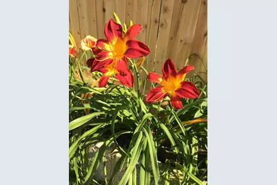 62-64 Flett Rd #64, Belmont, MA 02478 - Photo 26