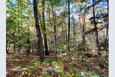 Lot 3 Harknesss Rd, Amherst, MA 01002 - Photo 6