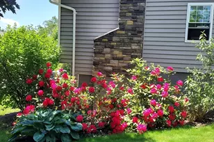 29 Winn Valley Dr, Burlington, MA 01803 - Photo 34