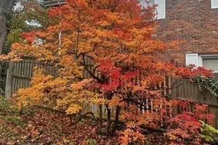 11 Kent Square, Brookline, MA 02446 - Photo 12