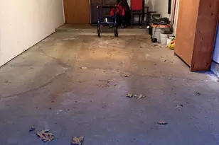 23 Rainbow Pond Dr, Walpole, MA 02081 - Photo 8