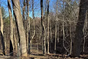 534-536 Turners Falls Rd, Montague, MA 01351 - Photo 32