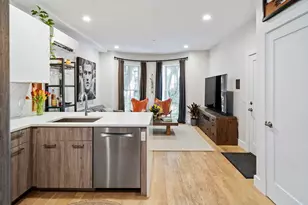 55 E Springfield St, Boston, MA 02118 - Photo 4