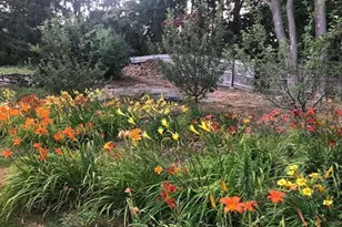 45 Forest Ave, Swampscott, MA 01907 - Photo 36