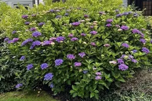 45 Forest Ave, Swampscott, MA 01907 - Photo 40