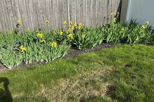 13 Corey Dr, Peabody, MA 01960 - Photo 30