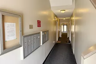 15 Bower Rd, Quincy, MA 02169 - Photo 14