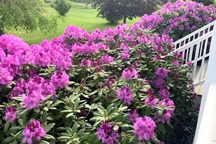 136 Chandler Rd, Andover, MA 01810 - Photo 42