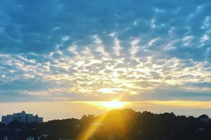 78 Fort Ave, Boston, MA 02119 - Photo 20