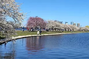 26 Waverly St, Boston, MA 02135 - Photo 14