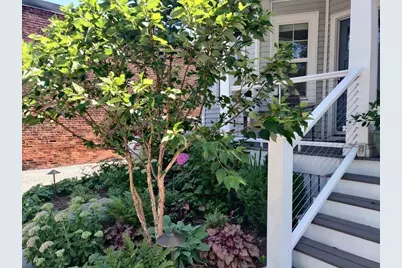 8 Lafayette St #2, Arlington, MA 02474 - Photo 2