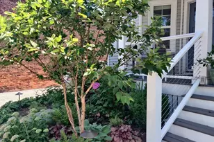 8 Lafayette St, Arlington, MA 02474 - Photo 2