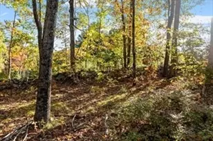 Lot 1 Manning St, Holden, MA 01522 - Photo 8