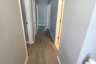 137 Cobb St, Springfield, MA 01119 - Photo 16