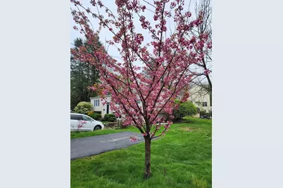 210 Bacon St, Natick, MA 01760 - Photo 22