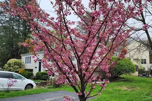 210 Bacon St, Natick, MA 01760 - Photo 22