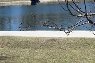 8 White Ave, Brookline, MA 02467 - Photo 38