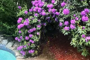 35 Firebrick Rd, Sharon, MA 02067 - Photo 38