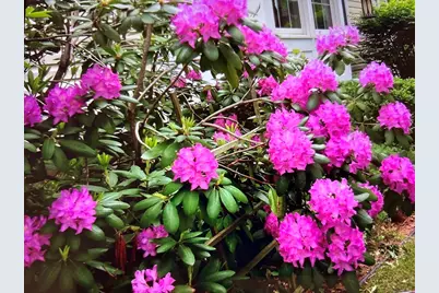 15 Nichols Street, North Reading, MA 01864 - Photo 36