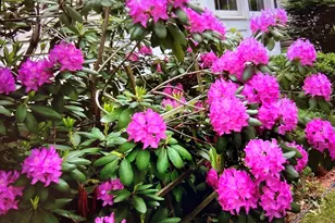 15 Nichols St, North Reading, MA 01864 - Photo 36