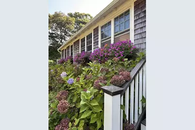 85 Winemack St, Oak Bluffs, MA 02557 - Photo 4