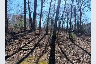 13 Pocasset St, Worcester, MA 01604 - Photo 6