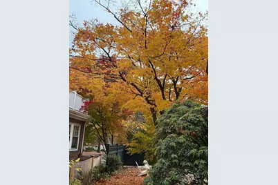 108 Crowninshield, Brookline, MA 02446 - Photo 8