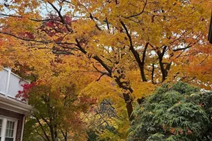 108 Crowninshield, Brookline, MA 02446 - Photo 8