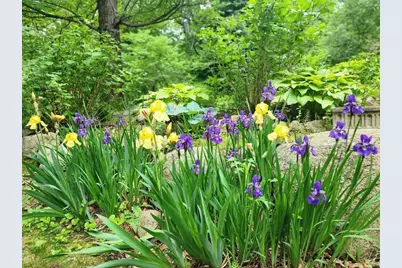 8 Innsbruck Way, Franklin, MA 02038 - Photo 6