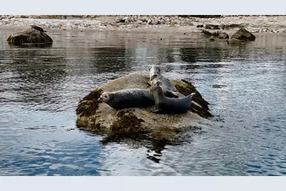 318 Center Hill Rd, Plymouth, MA 02360 - Photo 42