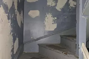 65 Ridgewood St, Boston, MA 02122 - Photo 12