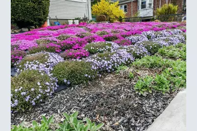 22 Ames St, Quincy, MA 02169 - Photo 14