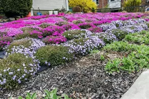 22 Ames St, Quincy, MA 02169 - Photo 14