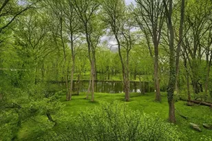 58 Solomon Pierce Rd, Lexington, MA 02420 - Photo 30