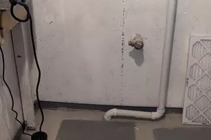 8 Mayfair St, Norwood, MA 02062 - Photo 20