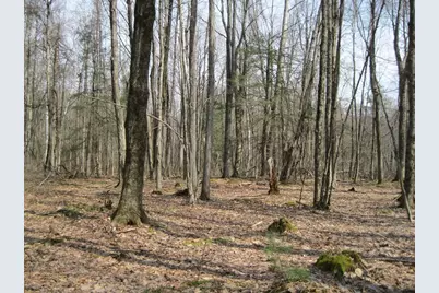 0 Mohawk Lake Rd, Stockbridge, MA 01262 - Photo 1