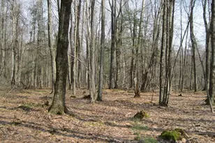 0 Mohawk Lake Rd, Stockbridge, MA 01262 - Photo 1