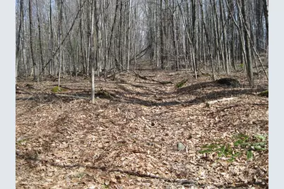0 Mohawk Lake Rd, Stockbridge, MA 01262 - Photo 2
