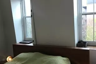 30 E Concord St, Boston, MA 02118 - Photo 12