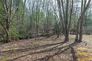 20 Meadow Brook Rd, Norwell, MA 02061 - Photo 26