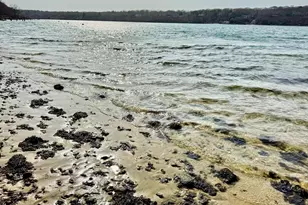 309 Barnes, Oak Bluffs, MA 02557 - Photo 30