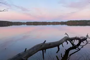 439 Lowell St, Andover, MA 01810 - Photo 2